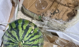 ףгĳˮ