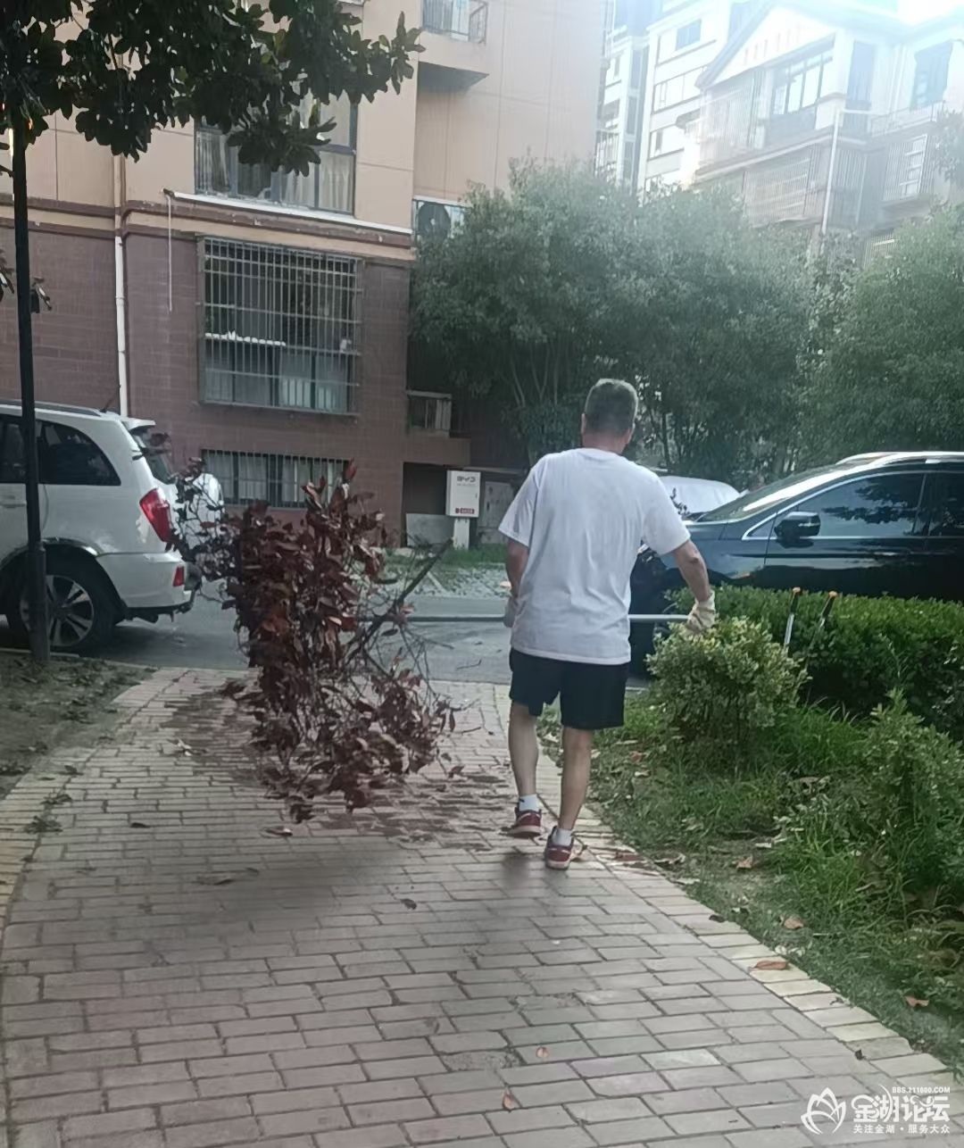 1752071857438743.jpeg
